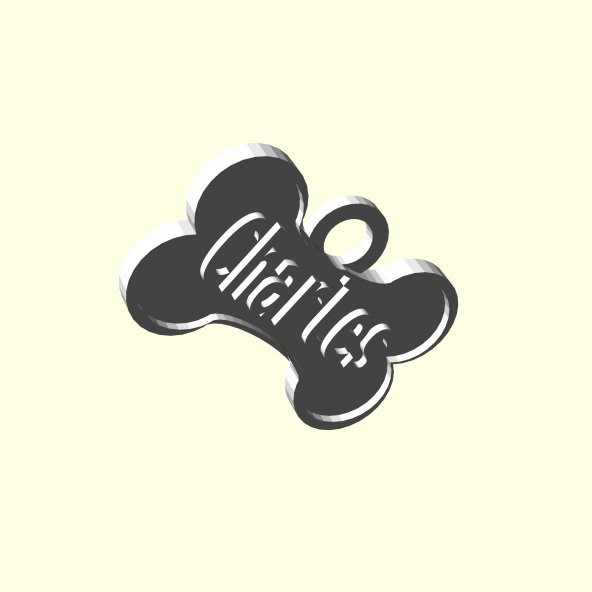 Charles Tasmalık Künye Tag Kedi Köpek Evcil Hayvana İsme Özel Üretim İsimlik Hediyelik Organik Plastik - 7