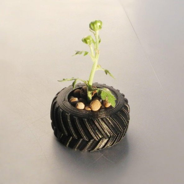 Tekerlek Şekilli Organik Plastikten Dekoratif Mini Kutu Aksesuarı - 2