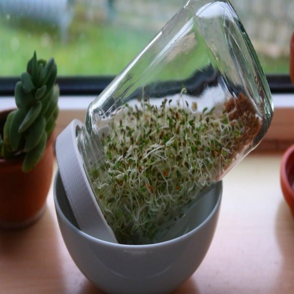 Güçlü Filiz Kavanoz Kapağı Ve Standı Plastik Aparat