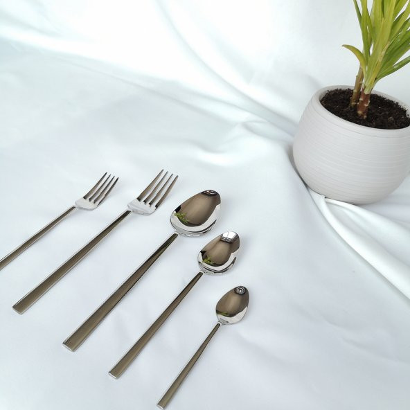 60 Parça Elit Sade Çatal Kaşık Seti Kutulu