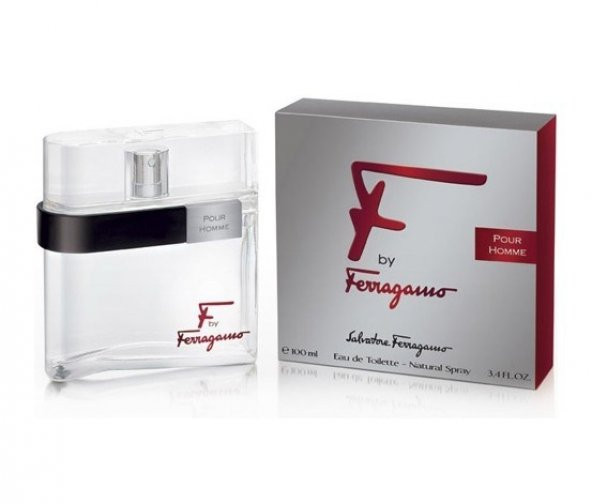 Salvatore Ferragamo F Pour Homme EDT 100 ml - 1