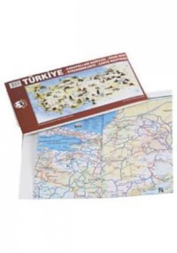 Panda Kağıt Tahta Renkli Türkiye Haritası 118x56 PAN 792