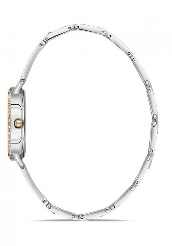 Momentus SW260T-02SG Bayan Kol Saati - Resim 2