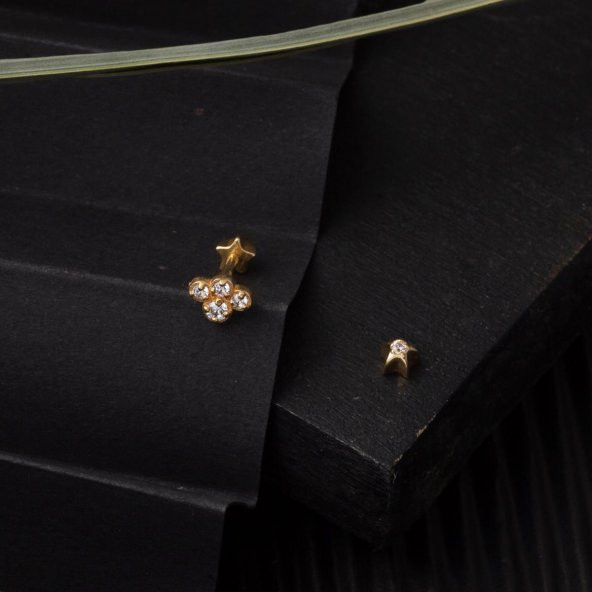Tektaş 14 Ayar Tragus Altın Küpe - 4