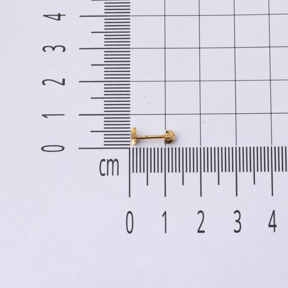 Tektaş 14 Ayar Tragus Altın Küpe - 5