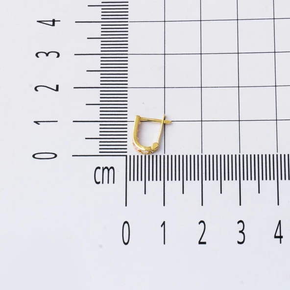 14 Ayar Altın Pembe Bebek Küpesi - Resim 5