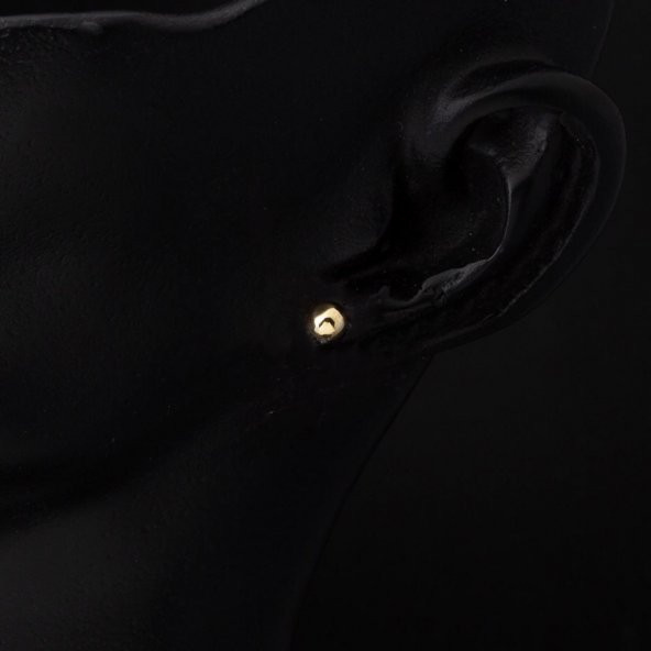 14 Ayar Altın Top Küpe 5 mm. - 5