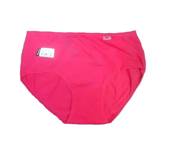 Tutku Bayan Likralı İnce Lastik Külot % 100 Pamuk Renk Seçenekli 925 - 3