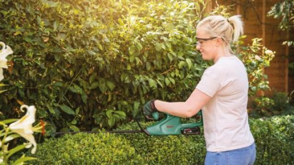 Bosch EASYHEDGECUT 18-45 Solo - 5