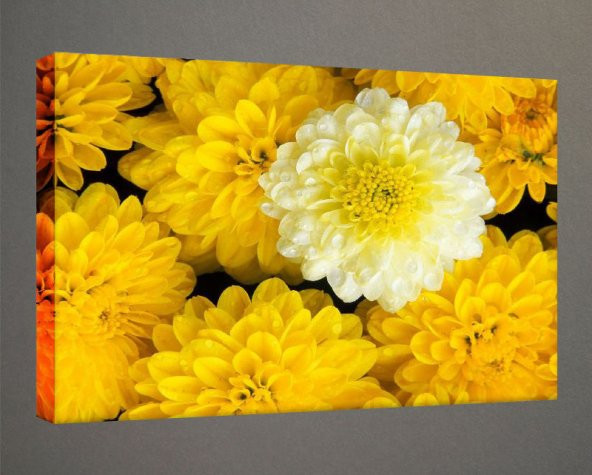 Kanvas Tablo - 70x100 cm  - Çiçek Resimleri - C285