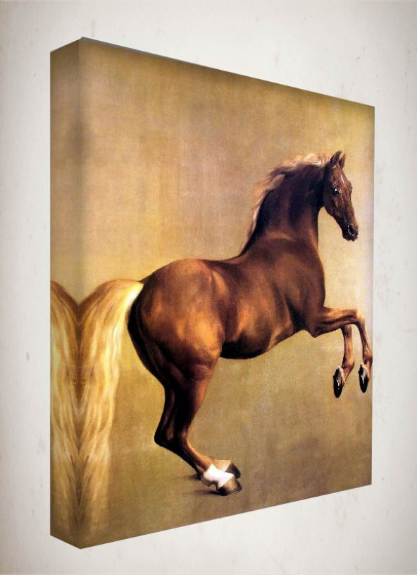 Kanvas Tablo - 100x140 cm  - Hayvan Tabloları - HY03
