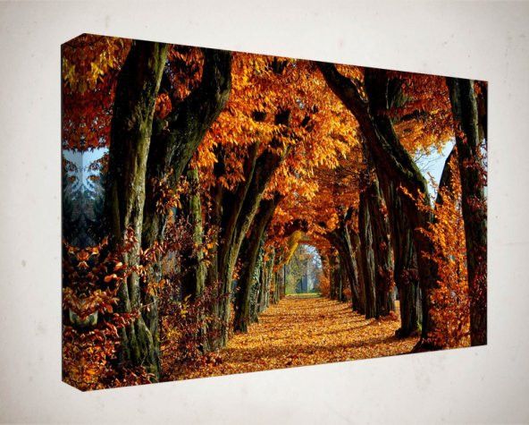 Kanvas Tablo - 100x140 cm  - Manzara & Doğa - MNZ127
