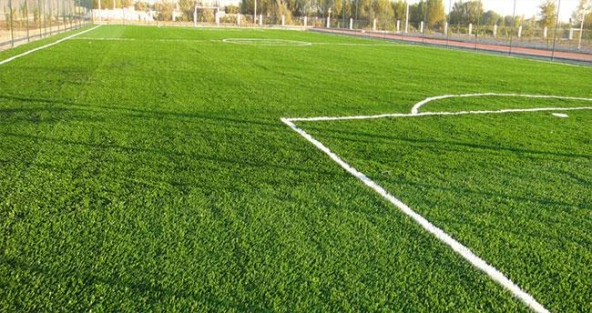 ÇİM TOHUMU 4S ANATOLIA 10 KG ECOPLANET - Resim 3