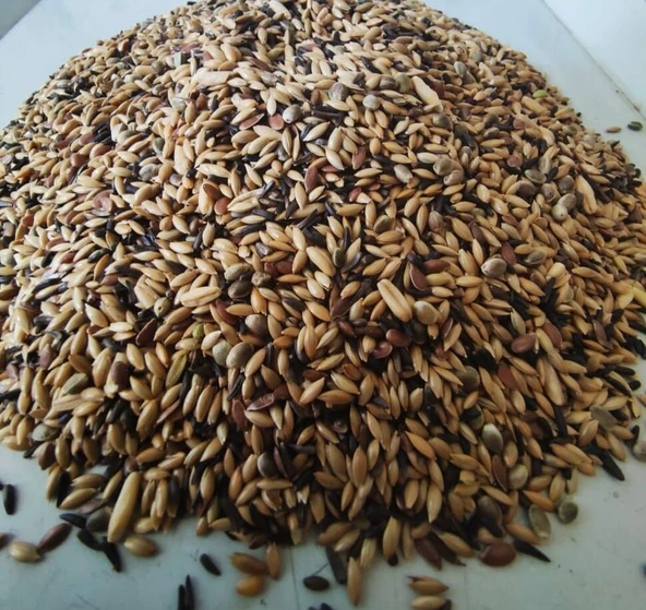 Natural Karışık Kanarya  (Şalgamsız) Yemi 1 Kg - 2
