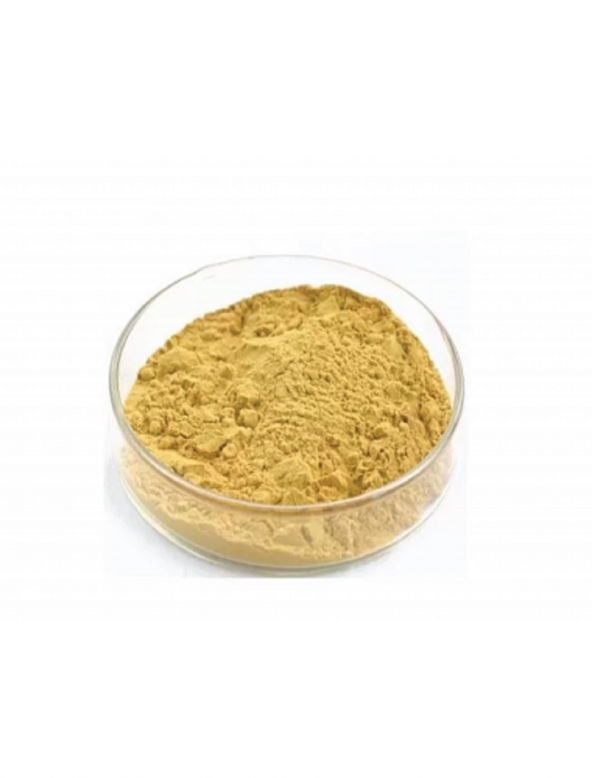 Milk Thistle Extract  50 gr (Hammadde)