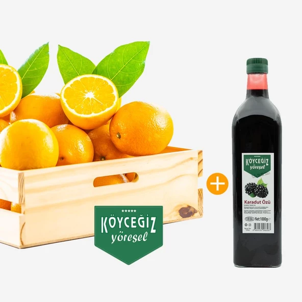 Kb Köyceğiz Yöresel Köyceğiz Portakalı 4 Kg + Köyceğiz Yöresel Karadut Özü 1 Kg ürün görseli 1
