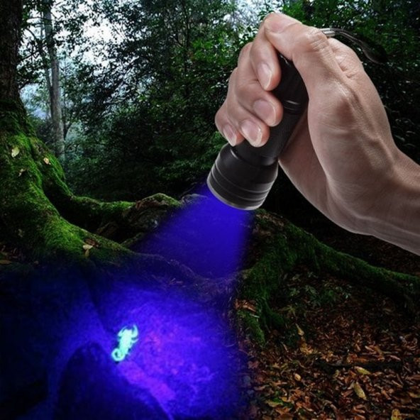 gaman 395nm Ultraviyole Taşınabilir Feneri UV KONTROL Işığı Tarihsel Kalıntı Parmak İzi Orjinallik Kontrol - 5