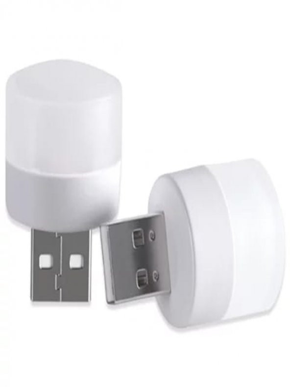 gaman Mini Ampul 1W Taşınabilir USB Led Işık - Powerbank Laptop PC Uyumlu Günışığı REnk - 2