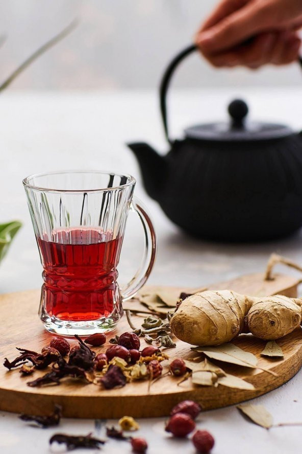 Lav Venüs Kulplu Çay Bardak - 6 Lı Kulplu Çay Bardağı