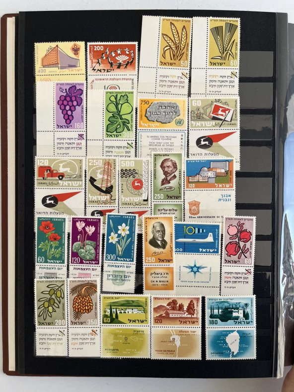 İsrail Pul Koleksiyonu Albümü Damgasız 910 Adet - Yabancı Pul 044 - Resim 6