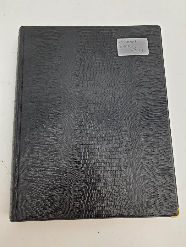 İsrail Pul Koleksiyonu Albümü Damgasız 250 Adet - Yabancı Pul 024 - Resim 2