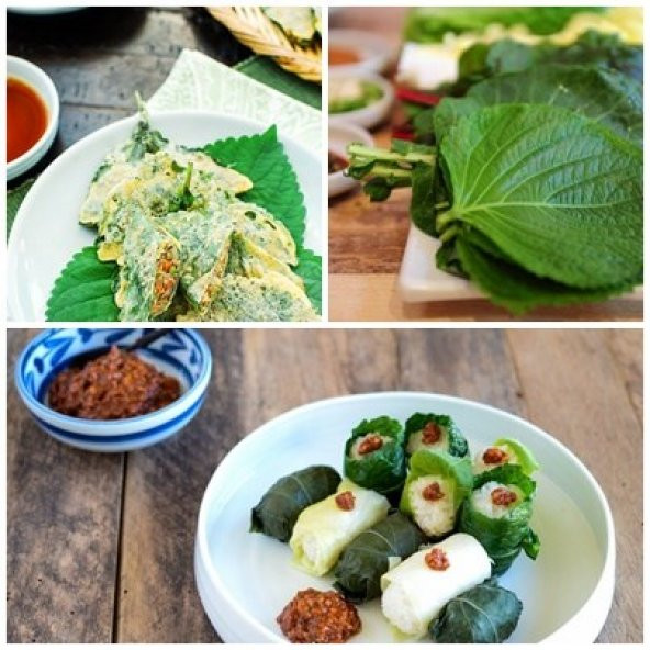 Perilla Yeşil Biftek Otu Tohumu (Shiso Green) - Resim 2