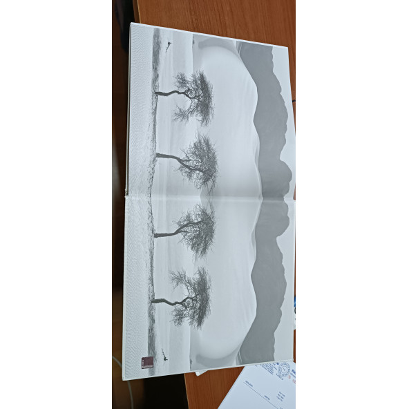 Çöl - Kenan Işık’ın Seçtiği Şiirler (Cd&Kitap) - 3