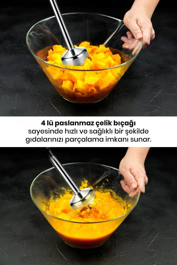 Goldmaster Master Mix 1000 Watt Güçlü Motor Paslanmaz Çelik 4 Bıçaklı Hız Ayarlı Ekstra Uzun El Blender - 3