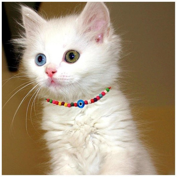 Karışık Renk Seramik Boncuk Nazar Boncuklu Kedi Tasması