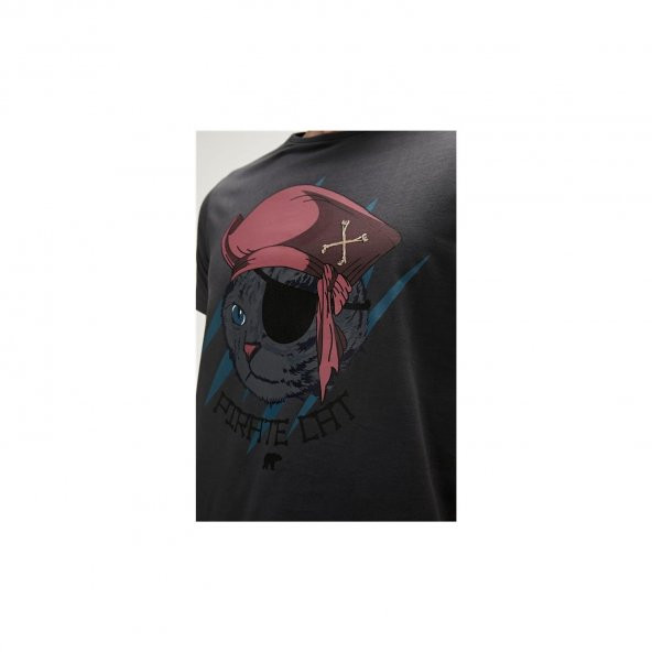 Bad Bear Pırate Erkek T-Shırt Gri Koyu 23.01.07.021 - Resim 5