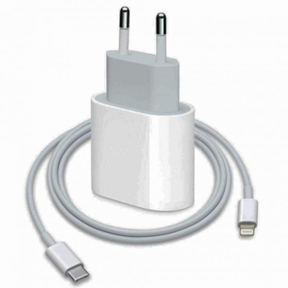 Orjinal Apple Iphone 11 Pro Max 20W Hızlı Şarj Aleti Seti Usb-C