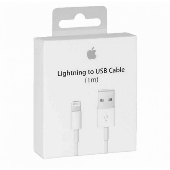 Orjinal Apple Ipad Mini Lightning Usb Data Şarj Kablosu