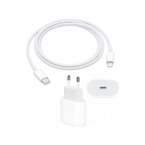 Orjinal Apple Iphone 11 20W Hızlı Şarj Aleti Seti Usb-C (534782349)