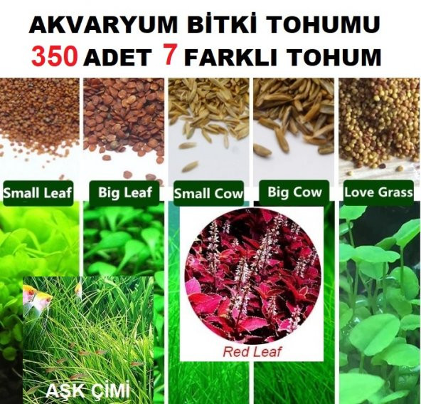 350 Adet 7 Farklı Akvaryum Bitkisi Tohumu + 10 Adet H.Lale Tohumu