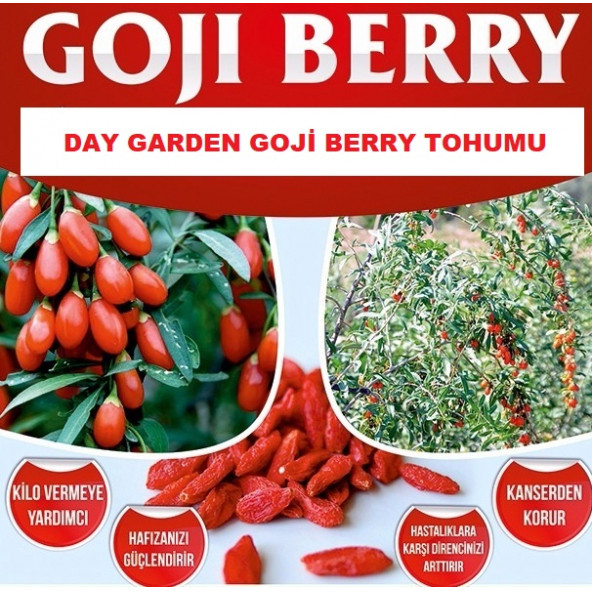 10 Adet Goji Berry Tohumu + 10 Adet Gül Tohumu