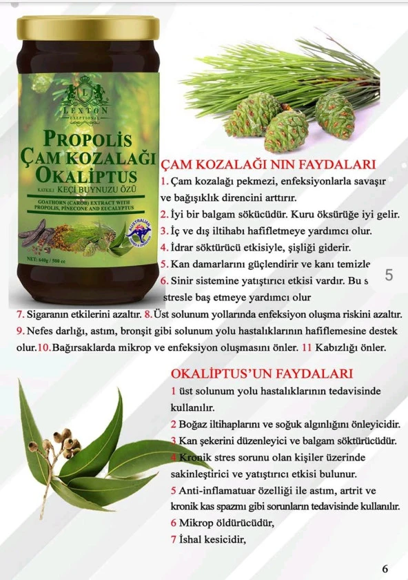 Lexton Çam Kozalağı Okaliptus Keçi Boynuzu Pekmezi 640 Gr 8680713318375