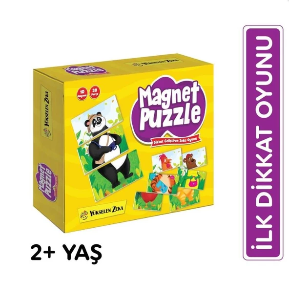 Y.Z. 2+ Yaş Magnet Puzzle Dikkat Geliştiren Zeka Oyunu