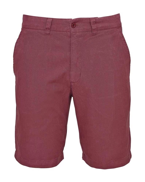 Lafuma Staten Erkek Şort LFV10705 ürün görseli