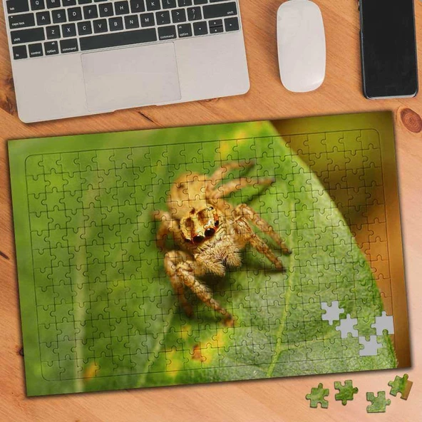 Tüylü Örümcek Hayvan 240 Parça Puzzle Yapboz Tablo-284848205