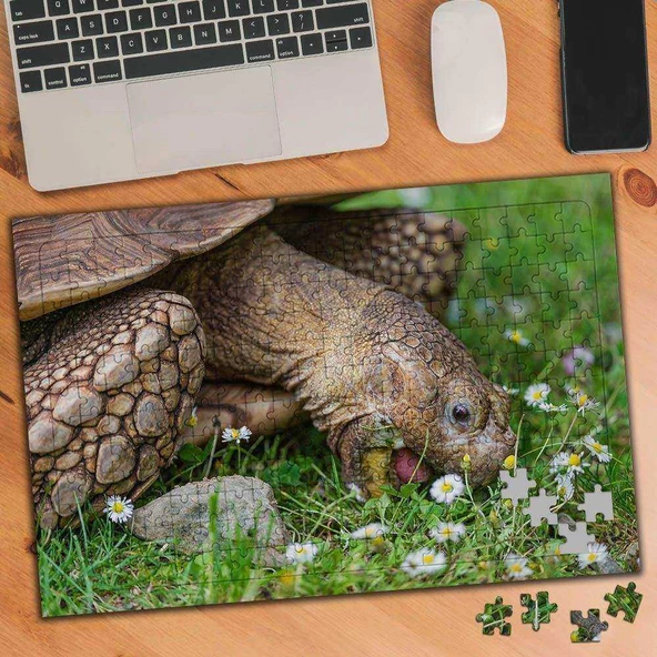 Papatyalar ve Yaşlı Kaplumbağa 240 Parça Puzzle Yapboz-75158