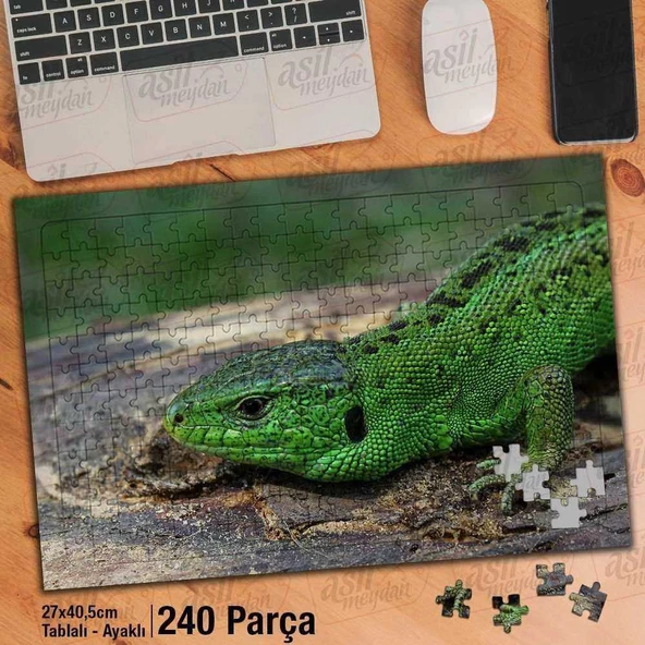 Asil Hobi Yeşil Kertenkele -Sürüngen - Hayvan- Doğa Yapboz -Ayak Destekli Çerçeveli 240 Parça Puzzle
