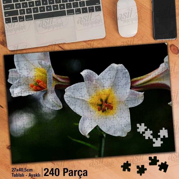 Asil Hobi Beyaz Zambak - Çiçek - Peyzaj - Bitki Yapboz -Ayak Destekli Çerçeveli 240 Parça Puzzle