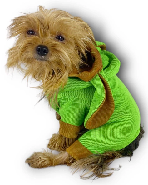 Froggy Kulaklı Köpek Tulumu Kıyafeti - 3