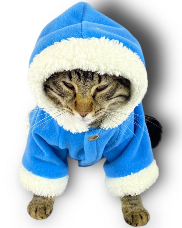 Blue Furry Kapşonlu Sweatshirt Ceket Kedi Süeteri Kıyafeti