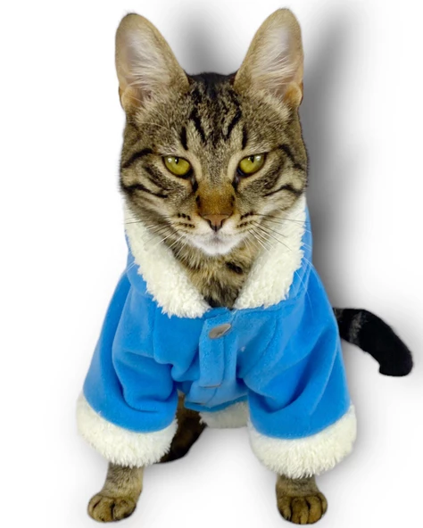 Blue Furry Kapşonlu Sweatshirt Ceket Kedi Süeteri Kıyafeti - 3