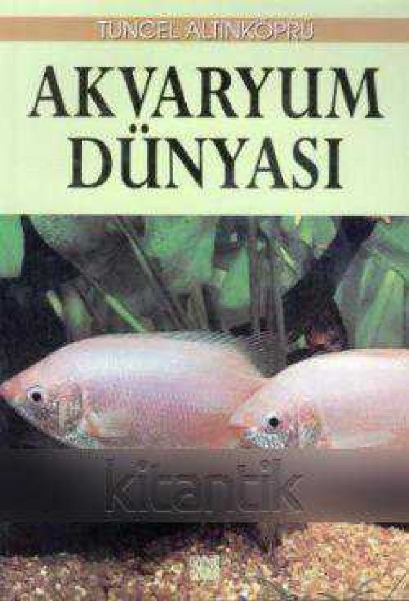 AKVARYUM DÜNYASI