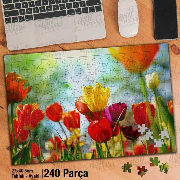 Asil Hobi Renkli Laleler - Doğa - Çiçek Yapboz -Ayak Destekli Çerçeveli 240 Parça Puzzle