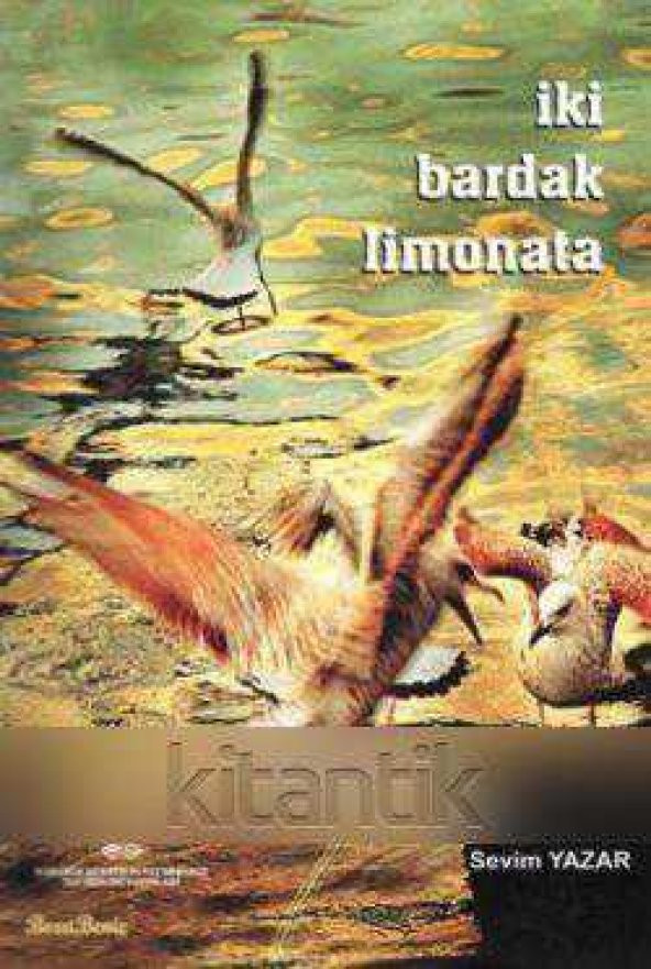 İki Bardak Limonata (2006 Yılı İlk Baskısı)