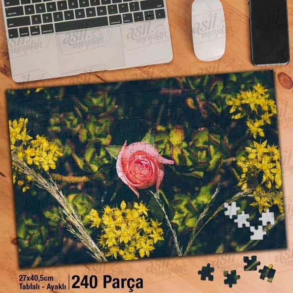 Asil Hobi Pembe Gül - Bitki - Çiçek Yapboz - Ayak Destekli Çerçeveli 240 Parça Puzzle