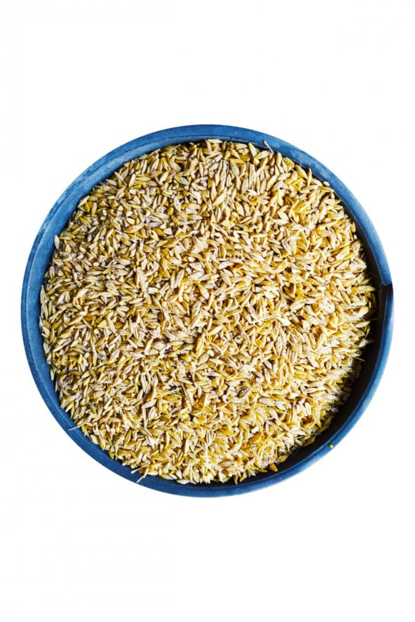 Kırık Arpa - 15 Kg Tavuk Yemi Yemlik Ezme Kanatlı Yemi Kaz Ördek Yemi Kuş Yemi